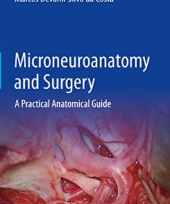 Microneuroanatomy and Surgery: A Practical Anatomical Guide (PDF)