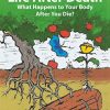 Life After Death: What Happens to Your Body After You Die? (Springer Praxis Books) (PDF)