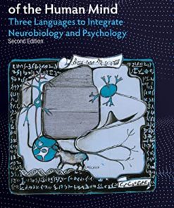 The Rosetta Stone of the Human Mind: Three Languages to Integrate Neurobiology and Psychology (PDF)