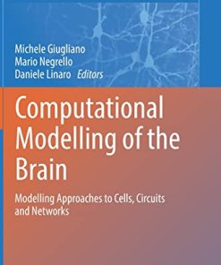 Computational Modelling of the Brain: Modelling Approaches to Cells, Circuits and Networks (Advances in Experimental Medicine and Biology, 1359) (PDF)