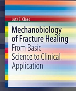 Mechanobiology of Fracture Healing: From Basic Science to Clinical Application (SpringerBriefs in Bioengineering) (PDF)