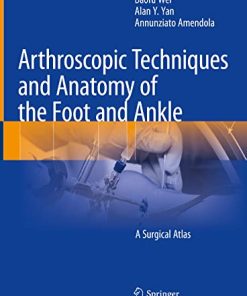 Arthroscopic Techniques and Anatomy of the Foot and Ankle: A Surgical Atlas (EPUB)