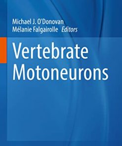 Vertebrate Motoneurons (Advances in Neurobiology, 28) (Original PDF from Publisher)