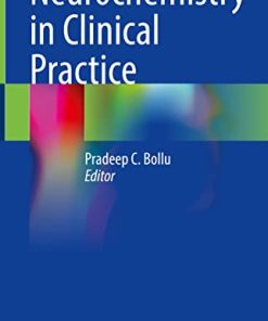 Neurochemistry in Clinical Practice (EPUB)