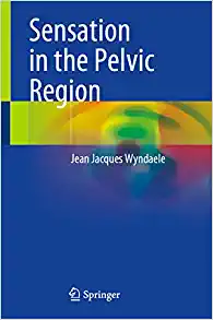 Sensation in the Pelvic Region, 1st Edition (EPUB)