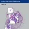 Colorectal Tumors: Atlas of Large Section Histopathology