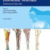 Veterinary Anatomy of Domestic Animals: Textbook and Colour Atlas (PDF) Veterinary Anatomy of Domestic Animals: Textbook and Colour Atlas (PDF)