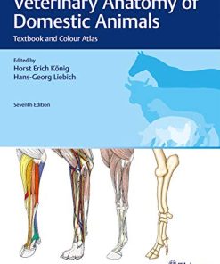 Veterinary Anatomy of Domestic Animals: Textbook and Colour Atlas (PDF)