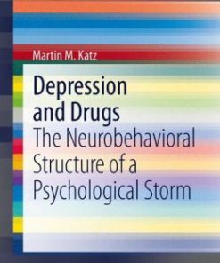 Depression and Drugs: The Neurobehavioral Structure of a Psychological Storm (EPUB)