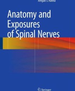 Anatomy and Exposures of Spinal Nerves (EPUB)