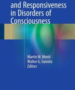 Brain Function and Responsiveness in Disorders of Consciousness (EPUB)