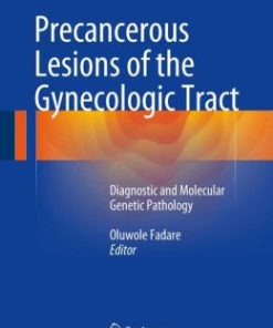 Precancerous Lesions of the Gynecologic Tract: Diagnostic and Molecular Genetic Pathology (EPUB)