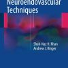 Handbook of Neuroendovascular Techniques (PDF)