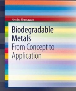 Biodegradable Metals: From Concept to Application (EPUB)