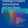 Pathology of Pediatric Gastrointestinal and Liver Disease (EPUB)