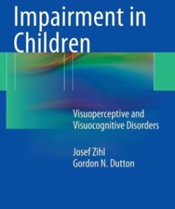 Cerebral Visual Impairment in Children: Visuoperceptive and Visuocognitive Disorders