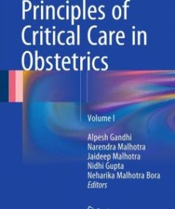 Principles of Critical Care in Obstetrics: Volume I (EPUB)