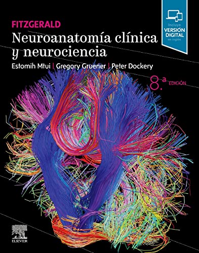 Fitzgerald. Neuroanatomía clínica y neurociencia, 8th edition (PDF) Fitzgerald. Neuroanatomía clínica y neurociencia, 8th edition (PDF)