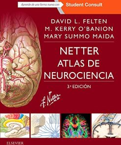 Netter. Atlas de neurociencia (3ª ed.) (Spanish Edition) (PDF)