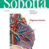 Sobotta. Atlas de anatomía humana vol 2 (24ª ed.): Órganos internos (PDF)