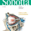 Sobotta. Atlas de anatomía humana – Volumen 3: Cabeza, cuello y neuroanatomía (PDF)