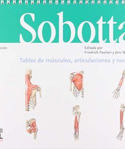 Sobotta. Tablas De Músculos, Articulaciones Y Nervios – 3ª Edición (PDF)