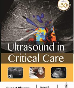 Ultrasound in Critical Care (PDF)