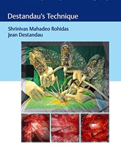 Endoscopic Spine Surgery: Destandau’s Technique 1st Edition (PDF)