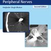 Missile Injuries Of The Brain Spine And Peripheral Nerves, 2nd edition (PDF)