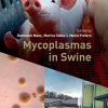 Mycoplasmas in Swine (PDF)