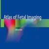 Atlas of Fetal Imaging: Abdomen (EPUB)