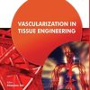 Vascularization in Tissue Engineering (PDF)