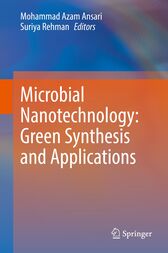 Microbial Nanotechnology: Green Synthesis and Applications (PDF)