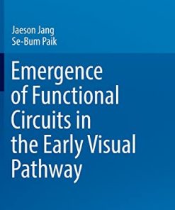 Emergence of Functional Circuits in the Early Visual Pathway (KAIST Research Series) (PDF)