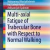 Multi-axial Fatigue of Trabecular Bone with Respect to Normal Walking