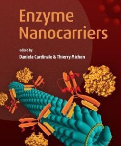 Enzyme Nanocarriers