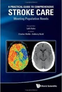 A Practical Guide to Comprehensive Stroke Care: Meeting Population Needs