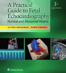 A Practical Guide to Fetal Echocardiography: Normal and Abnormal Hearts (Abuhamad, A Practical Guide to Fetal Echocardiography)