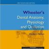 Wheeler’s Dental Anatomy, Physiology and Occlusion-INTERNATIONAL EDITION (PDF)