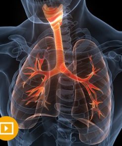 The Brigham Board Review and Comprehensive Update in Pulmonary Medicine 2022 (CME VIDEOS)