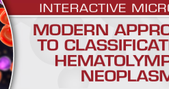 USCAP Modern Approaches to Classification of Hematolymphoid Neoplasms 2022 (CME VIDEOS)