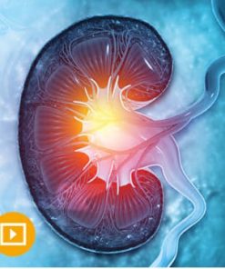 Intensive Review of Nephrology 2022 (CME VIDEOS)