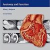 Clinical Cardiac CT: Anatomy and Function