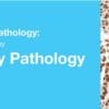 2019 Classic Lectures in Pathology: What You Need to Know: Genitourinary Pathology (CME Videos)