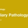 2019 Classic Lectures in Pathology: What You Need to Know: Pancreatobiliary Pathology (CME Videos)