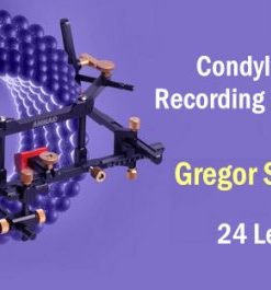 Condylography: Recording and Analysis – Gregor Slavicek