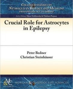 Crucial Role for Astrocytes in Epilepsy