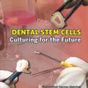 Dental Stem Cells Culturing for the Future (EPUB)