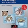 Ebook Endovascular Surgical Neuroradiology: Theory and Clinical Practice