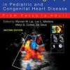 Echocardiography in Pediatric and Congenital Heart Disease: From Fetus to Adult 2nd Edition